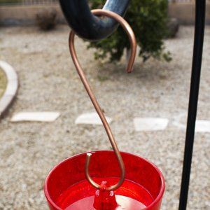 Best Copper S Hooks for Hanging Hummingbird Feeder